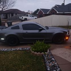 2014 Ford Mustang