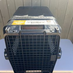 Dog Kennel 