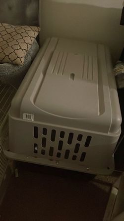 Dog kennel