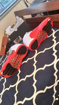 Brand new Jordan 12