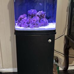 Coralife Biocube 16G With Stand 