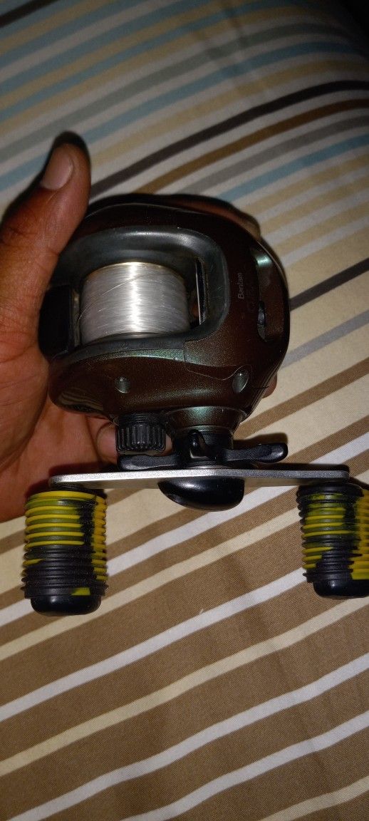 Shimano Fishing Reel