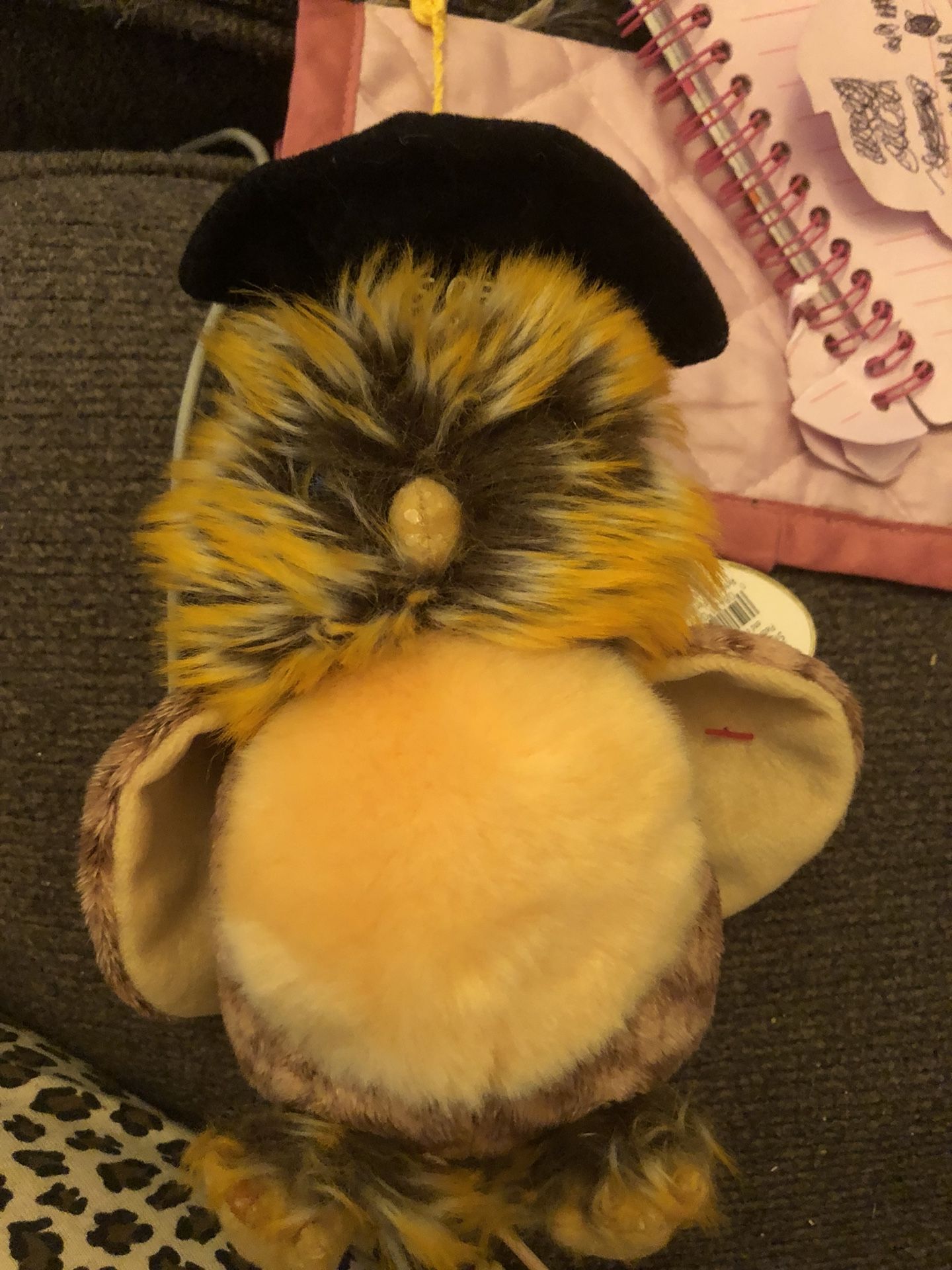 Smartest beanie baby