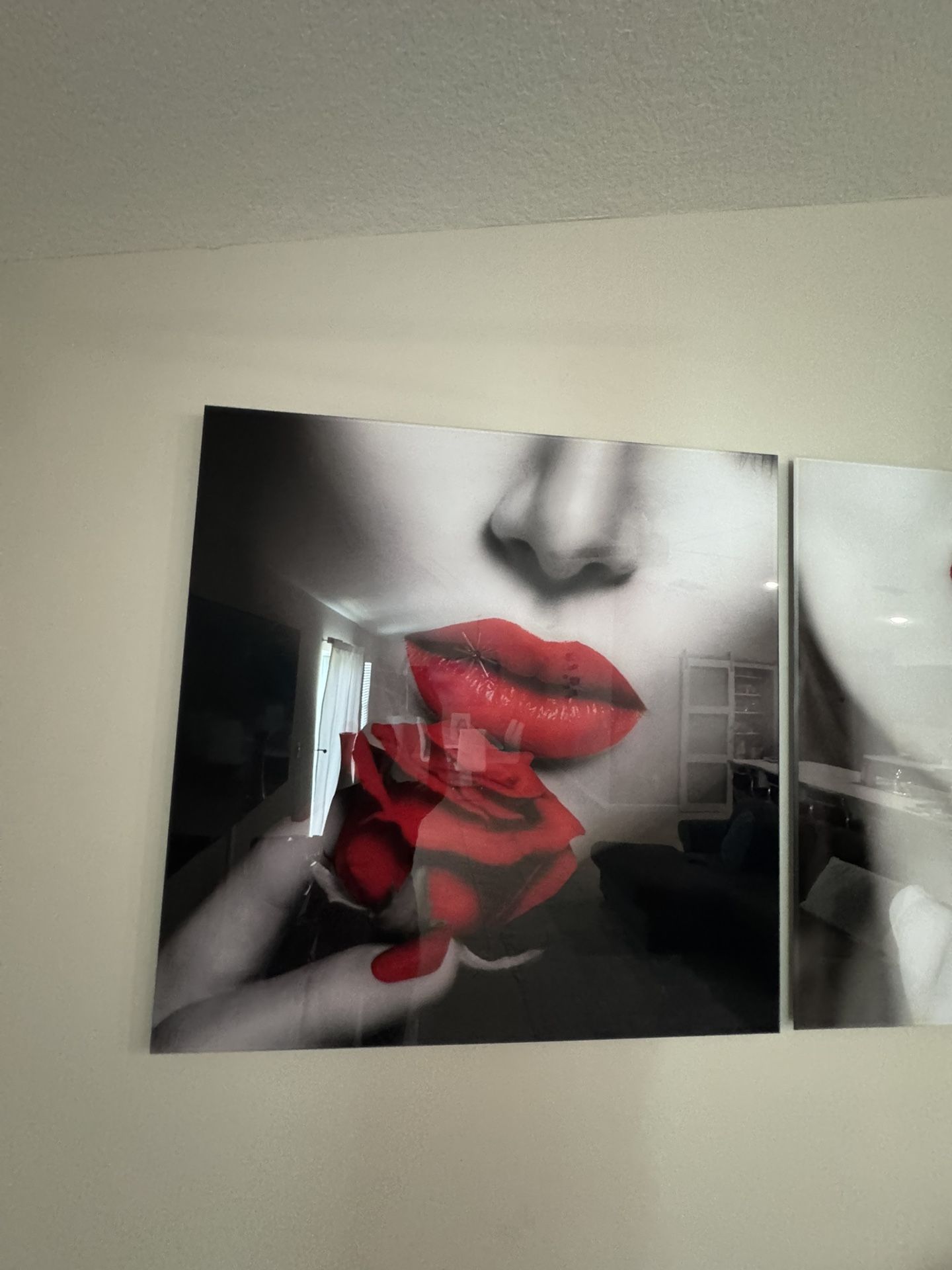 El Dorado Acrylic Wall Art