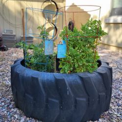 Raised Bed Garden - Tire