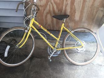 Free spirit bike