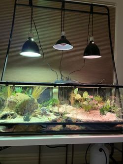 80 gallon terrarium
