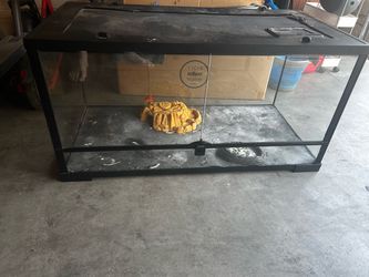 40 gallon Reptile tank - bearded dragon etc