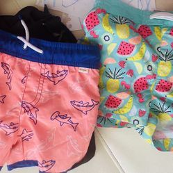Swim Shorts