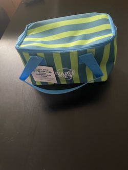Trader Joe's Striped Mini Insulated Bag