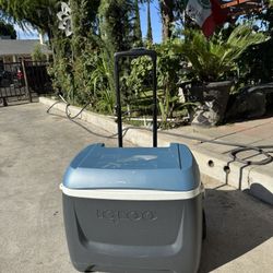 Igloo Ice Chest /Cooler