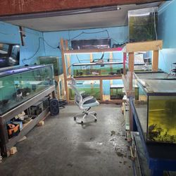 Fish Tank Supplies 