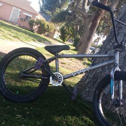 Cult 20 In Customed