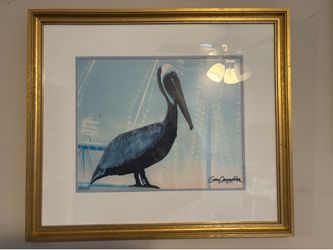 Pelican art