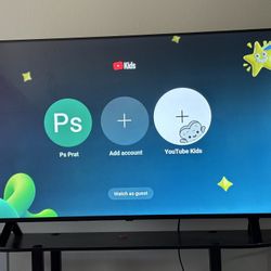50 Inch TV