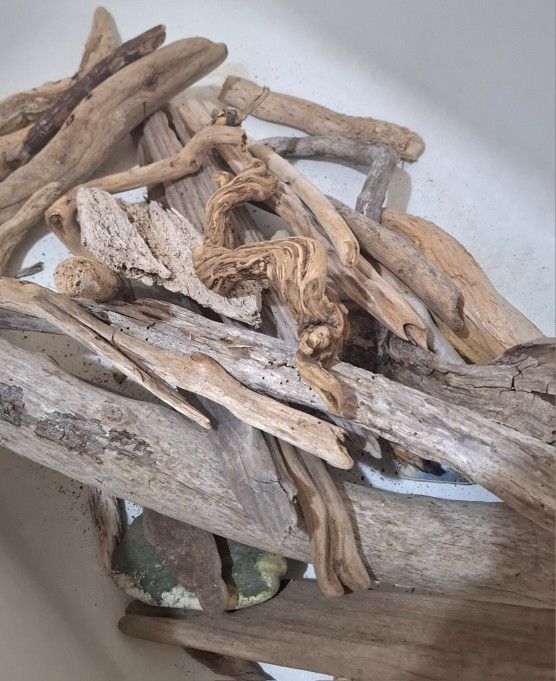 Clean Ocean Driftwood