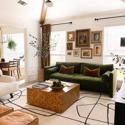 Velvet Green Couch