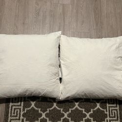 IKEA FJÄDRAR Inner Cushion for Couch/Sofa, Off-White, 20x20", Set of 2