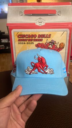 Chicago Bulls Artist Hat series