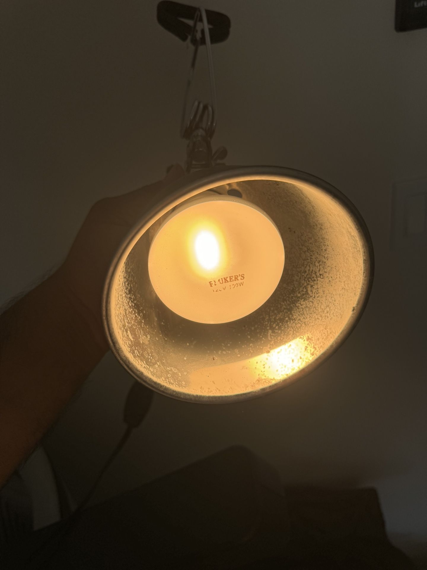 Heat Lamp For Reptiles 