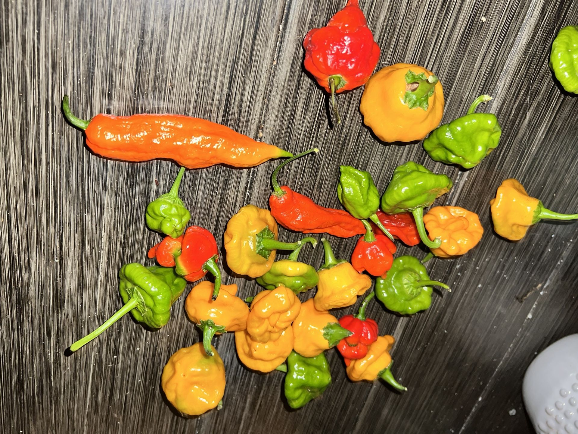 SUPER HOT Peppers. (Home Grown)