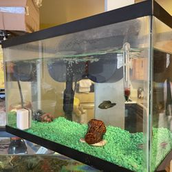 10 Galllons Fist Tank Included Filter 