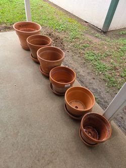 6 Plant pots