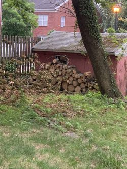 Free Wood