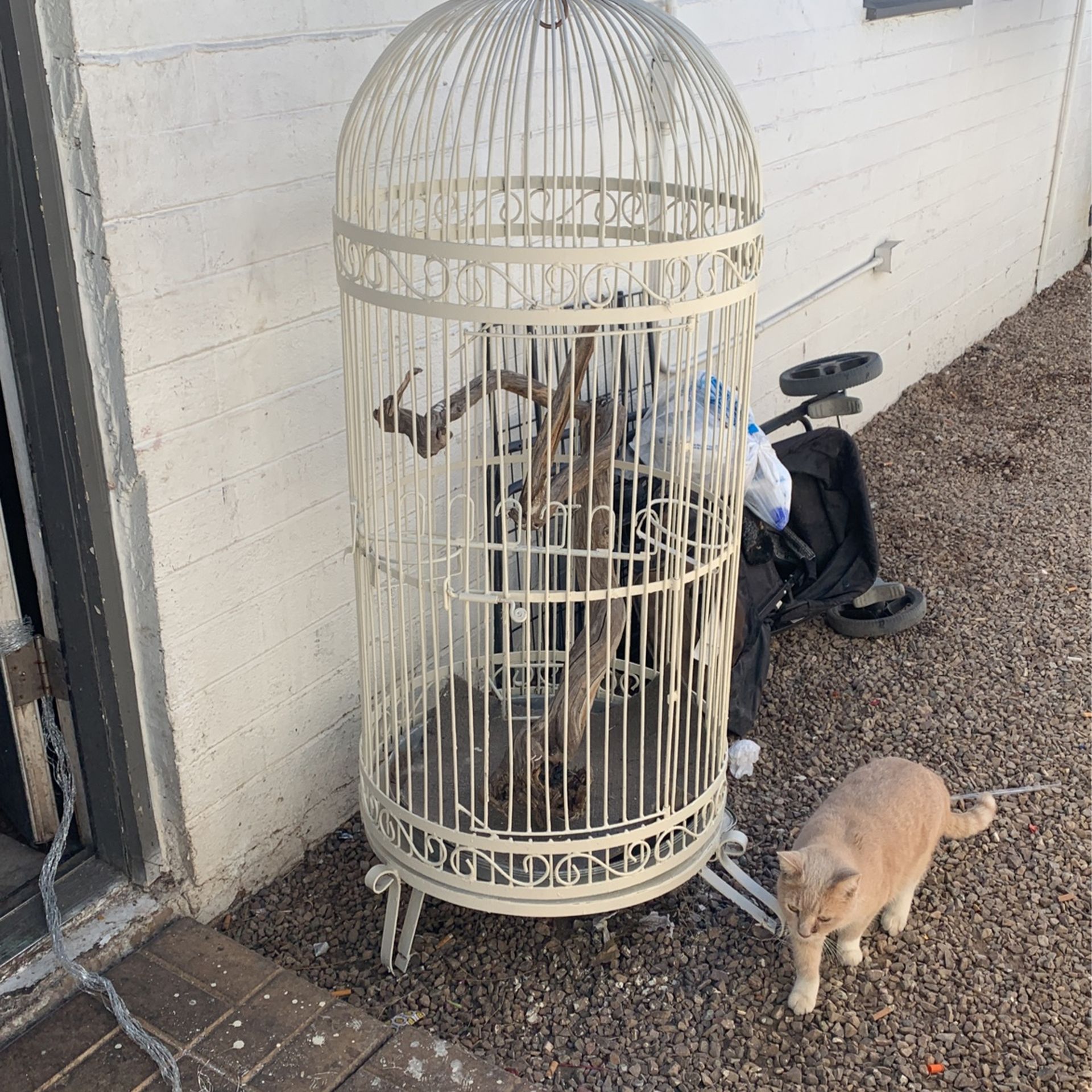 Vintage Bird Cage Need Sold Asap