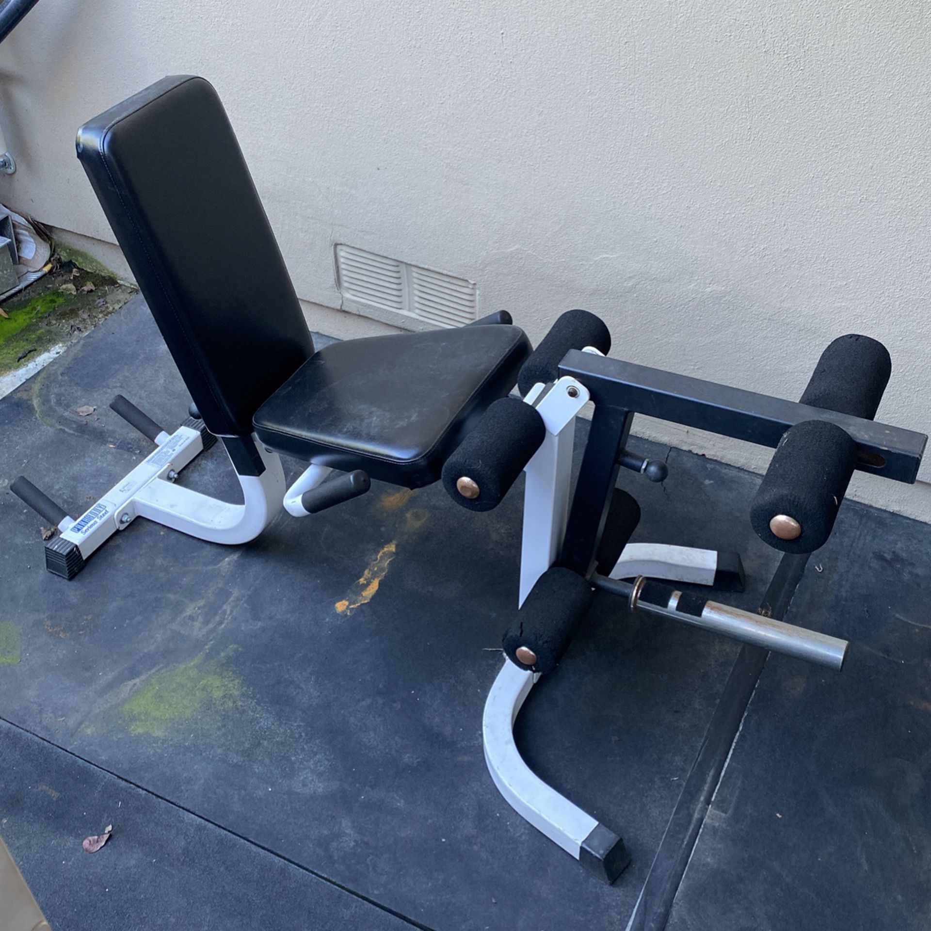 Plate Loaded Leg Curl/Extension Machine 
