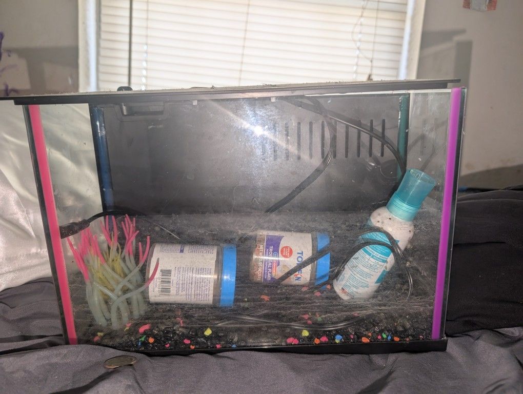Fish Tank