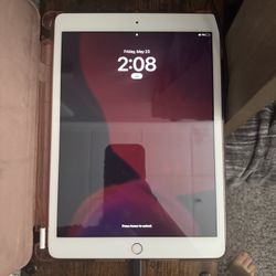 8th Generation Rose Gold iPad 