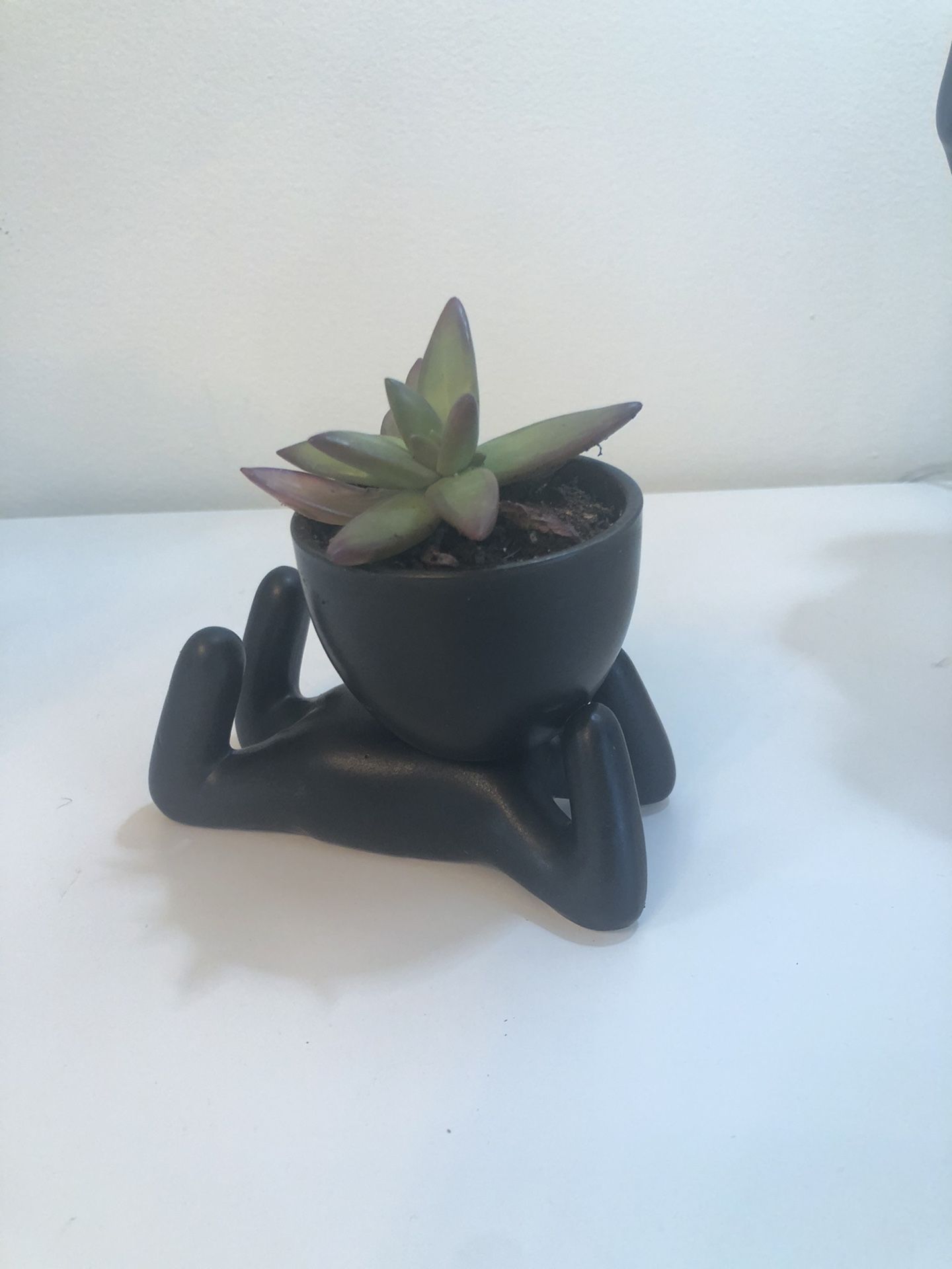 “POT HEAD” Ceramic Succulent Planter