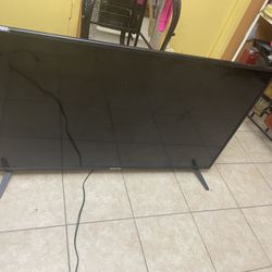 55 Inch Sceptre