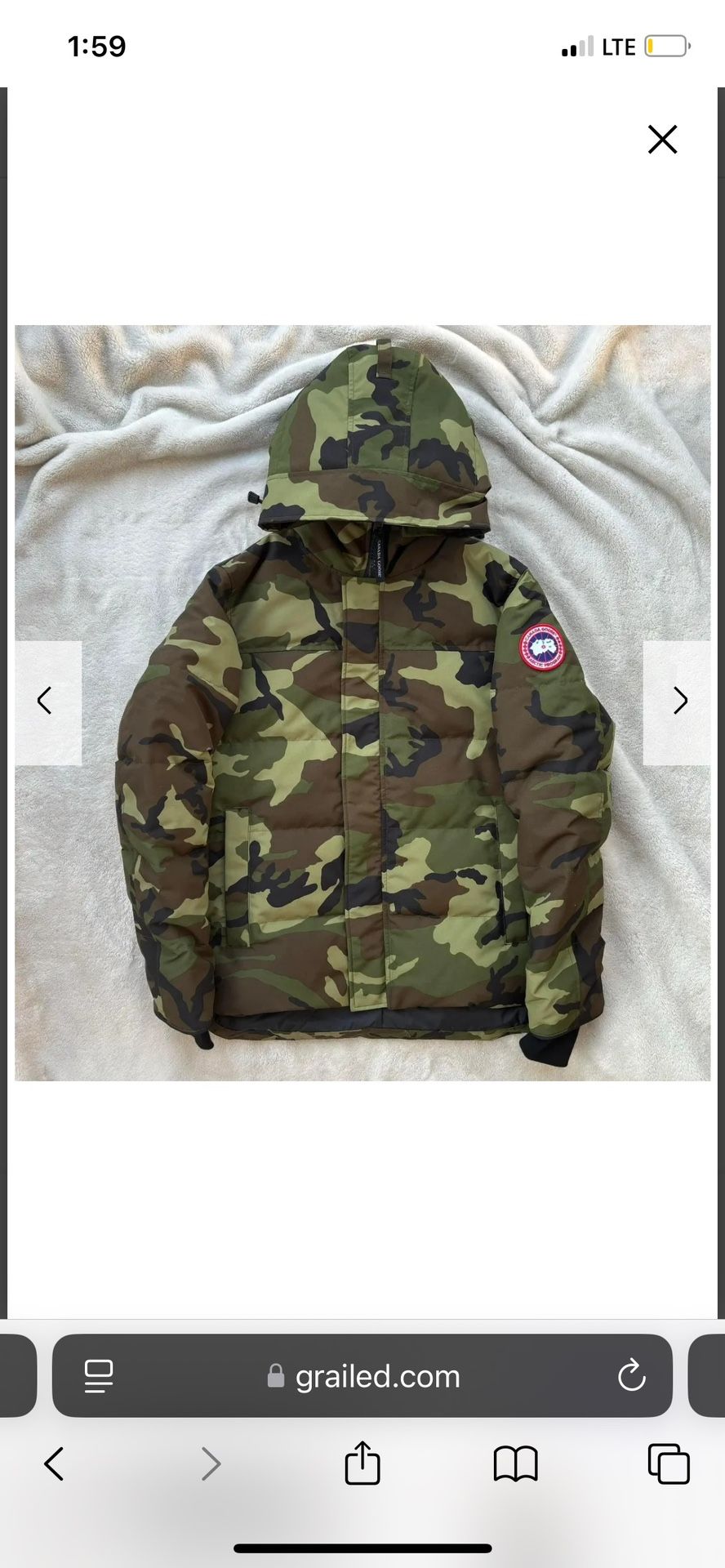 Canada Goose