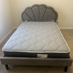 Full Size 