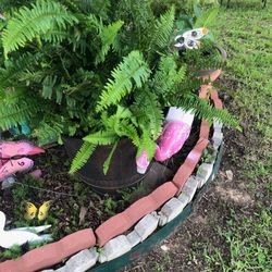 Plants $35 Each/ Plantas $35 Cada Una