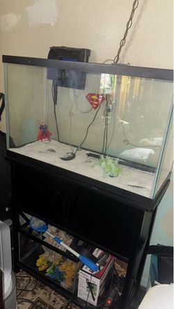 Fish Tanks and Stand