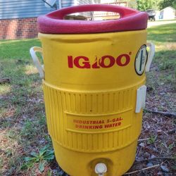 Igloo Cooler 