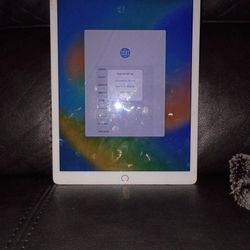 iPad 12.9in. 