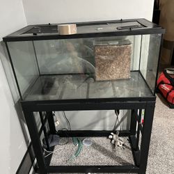 Large Reptile Tank Plus Stand 