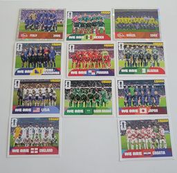 Team Panini stickers