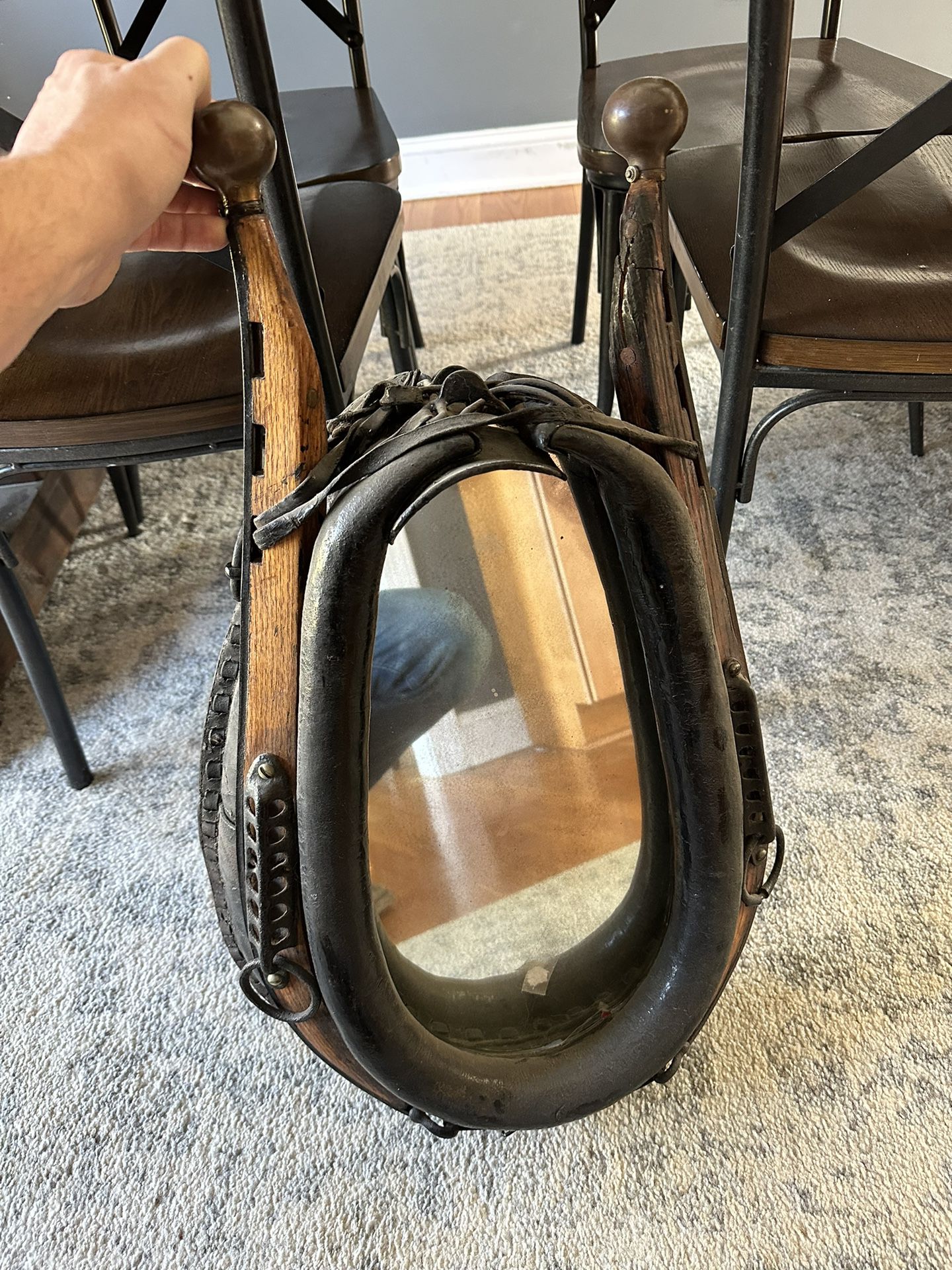 Horse Yolk Mirror