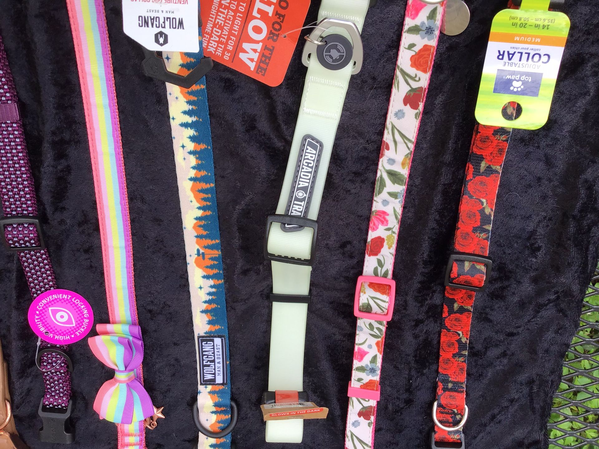 ❤️Medium 🐶 dog collars never ✌🏼worn any in picture