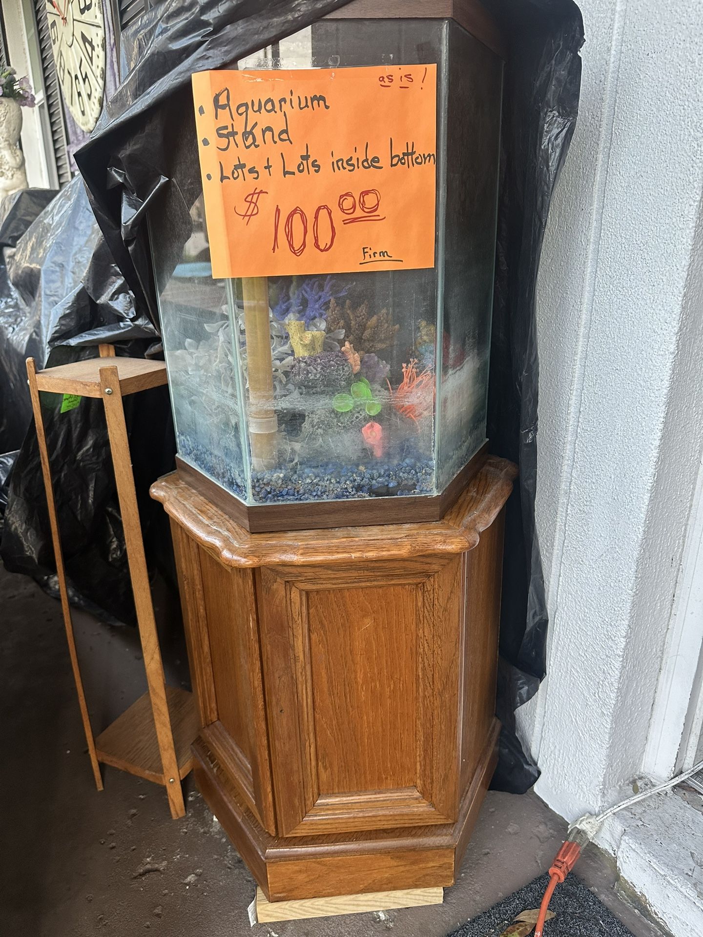 20 Gal Hex Aquarium