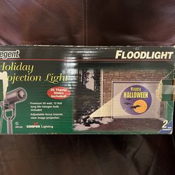 Holiday Projection Light