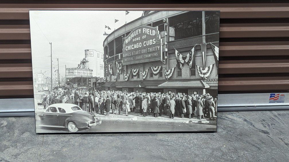 Wood 30 X 20 Black And White Chicago Cubs Wall Print 