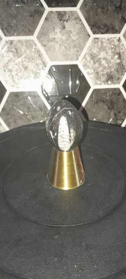 Orthosaurus Fossil Egg