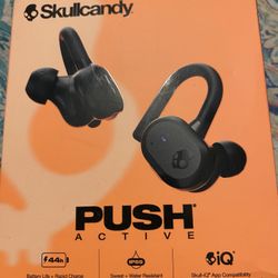 Skullcandy Ear Buds