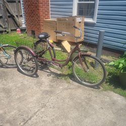 Adult Three Wheeled Bikes